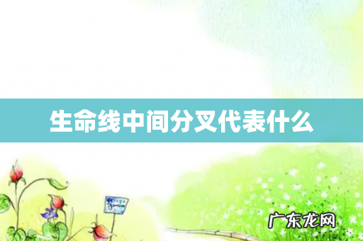 生命线中间分叉代表什么