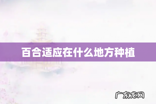 百合适应在什么地方种植