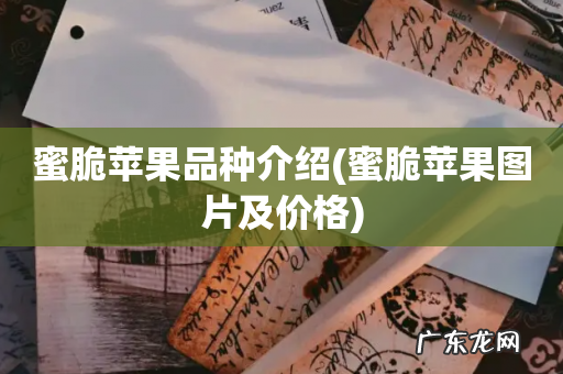蜜脆苹果图片及价格 蜜脆苹果品种介绍