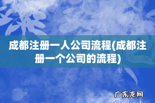 成都注册一个公司的流程 成都注册一人公司流程