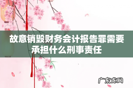 故意销毁财务会计报告罪需要承担什么刑事责任