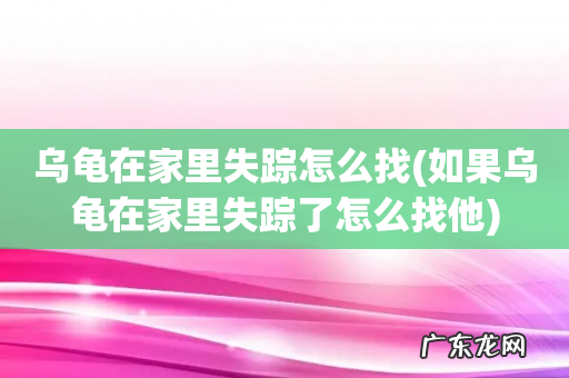 如果乌龟在家里失踪了怎么找他 乌龟在家里失踪怎么找
