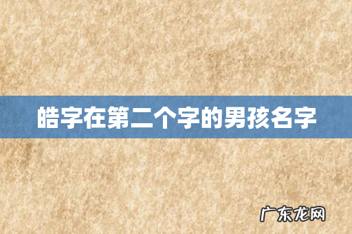 皓字在第二个字的男孩名字