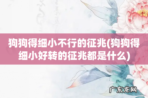 狗狗得细小好转的征兆都是什么 狗狗得细小不行的征兆
