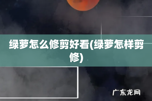 绿萝怎样剪修 绿萝怎么修剪好看