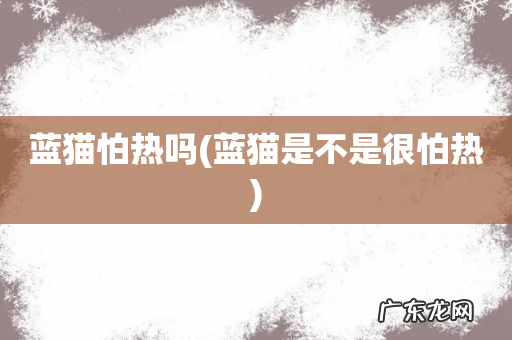 蓝猫是不是很怕热 蓝猫怕热吗