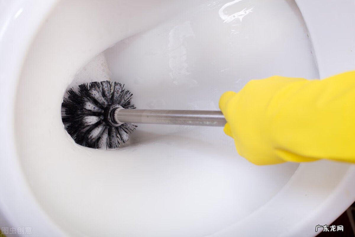刷马桶刷子 马桶刷可以通马桶吗