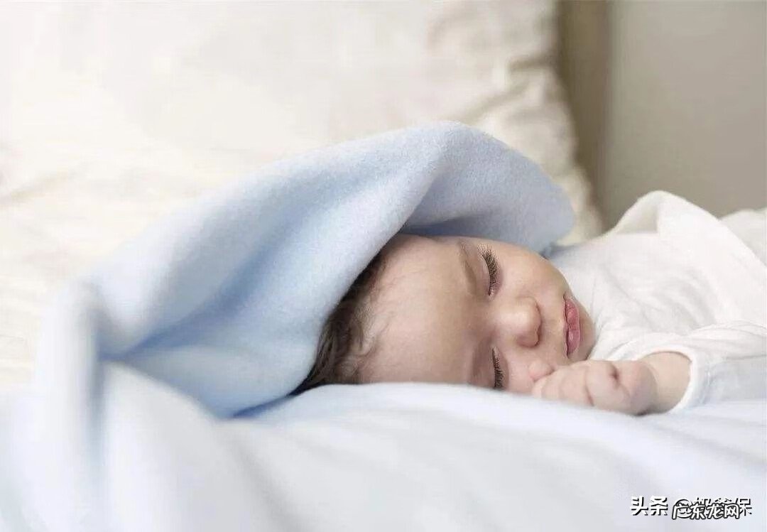 生育保险查询入口 生育保险费率