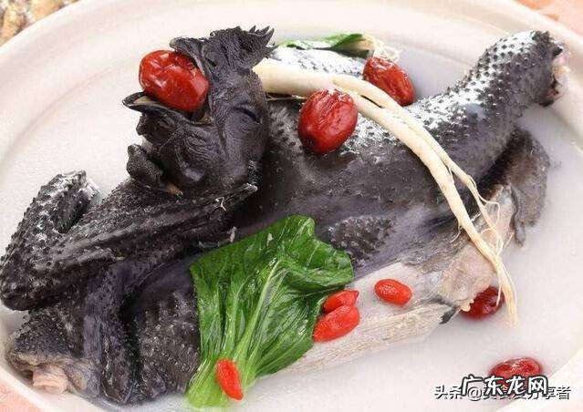 乌鸡的营养价值及功效和禁忌 乌鸡的营养价值?