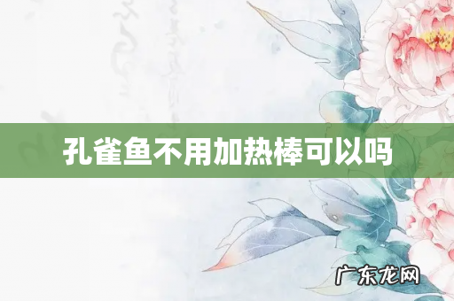 孔雀鱼不用加热棒可以吗