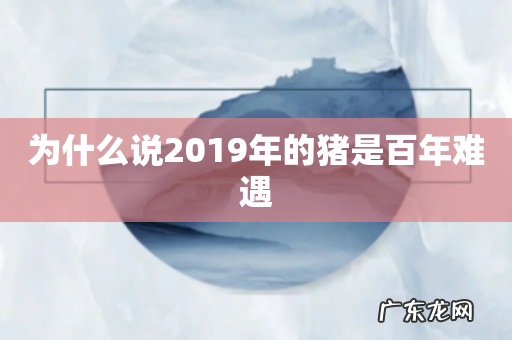 为什么说2019年的猪是百年难遇