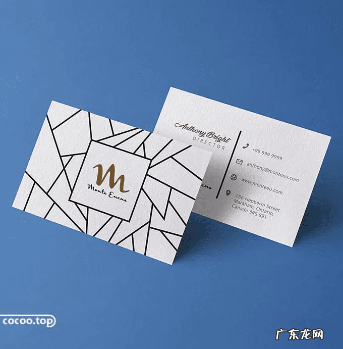 风水名片设计 名片设计需要什么