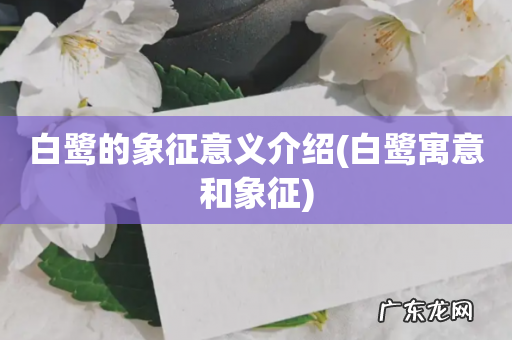 白鹭寓意和象征 白鹭的象征意义介绍