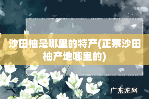 正宗沙田柚产地哪里的 沙田柚是哪里的特产