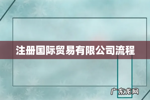 注册国际贸易有限公司流程