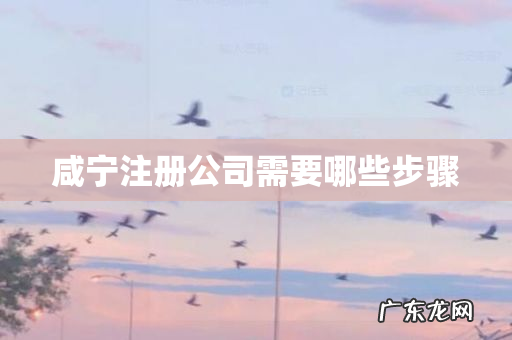 咸宁注册公司需要哪些步骤