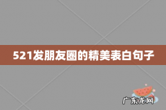 521发朋友圈的精美表白句子