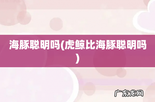 虎鲸比海豚聪明吗 海豚聪明吗