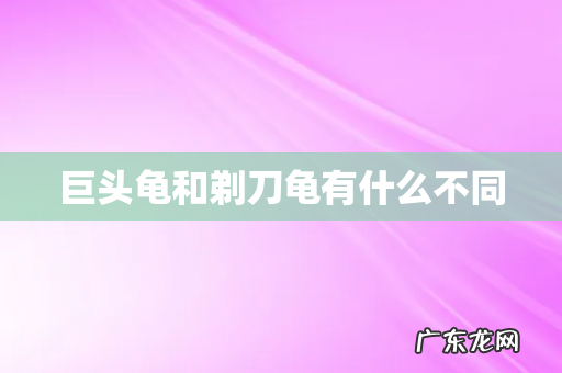 巨头龟和剃刀龟有什么不同