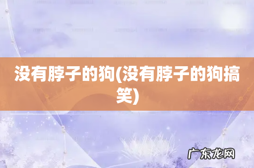 没有脖子的狗搞笑 没有脖子的狗