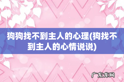 狗找不到主人的心情说说 狗狗找不到主人的心理