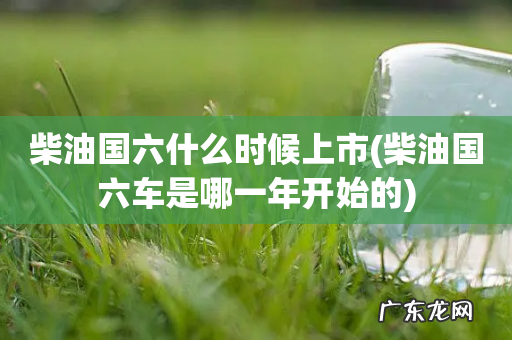 柴油国六车是哪一年开始的 柴油国六什么时候上市