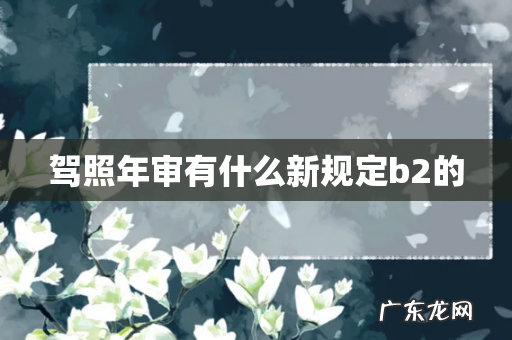 驾照年审有什么新规定b2的