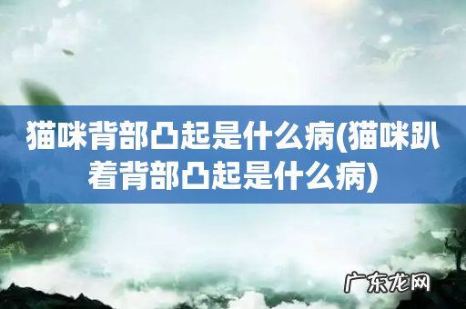 猫咪趴着背部凸起是什么病 猫咪背部凸起是什么病