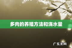 多肉的养殖方法和浇水量