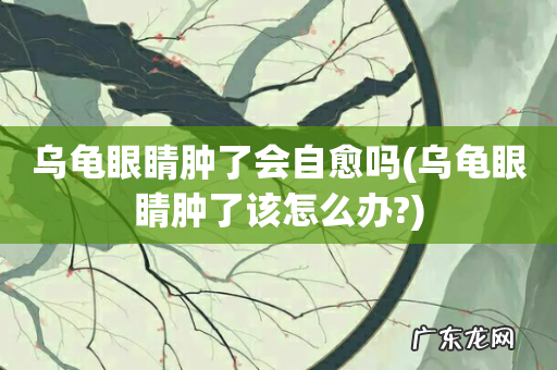 乌龟眼睛肿了该怎么办? 乌龟眼睛肿了会自愈吗