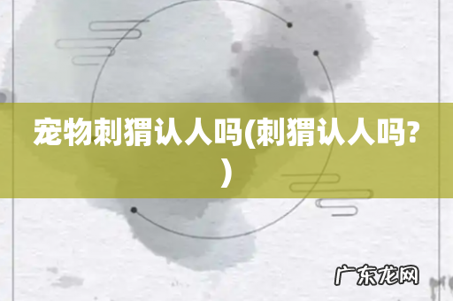 刺猬认人吗? 宠物刺猬认人吗