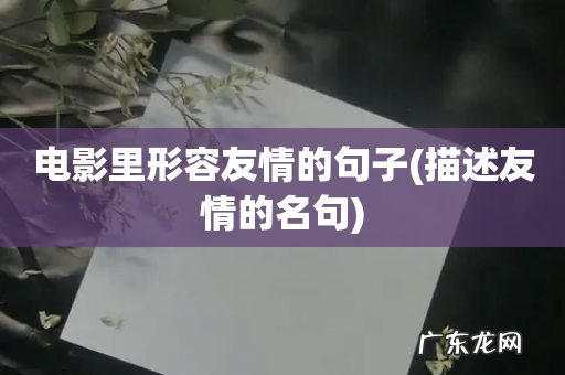 描述友情的名句 电影里形容友情的句子