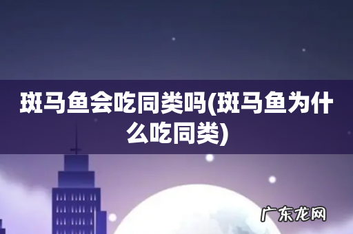 斑马鱼为什么吃同类 斑马鱼会吃同类吗