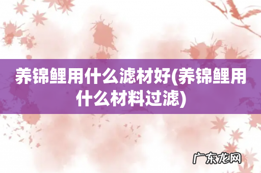 养锦鲤用什么材料过滤 养锦鲤用什么滤材好