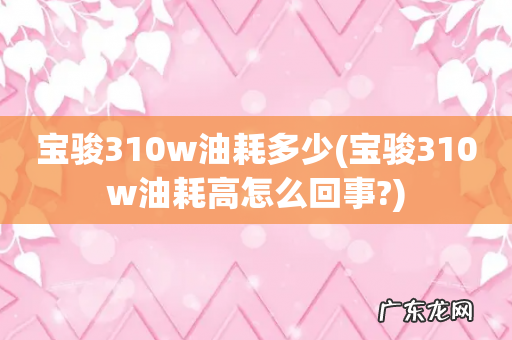 宝骏310w油耗高怎么回事? 宝骏310w油耗多少