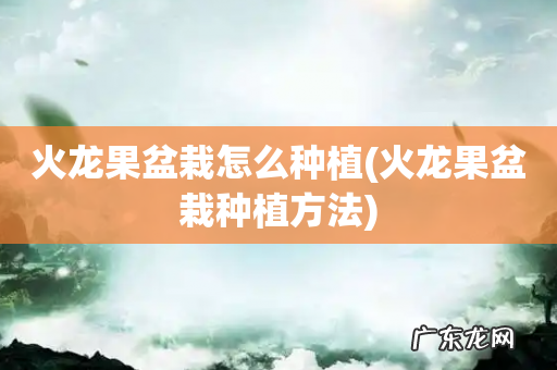 火龙果盆栽种植方法 火龙果盆栽怎么种植