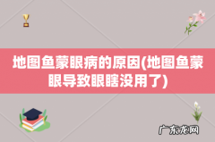 地图鱼蒙眼导致眼瞎没用了 地图鱼蒙眼病的原因