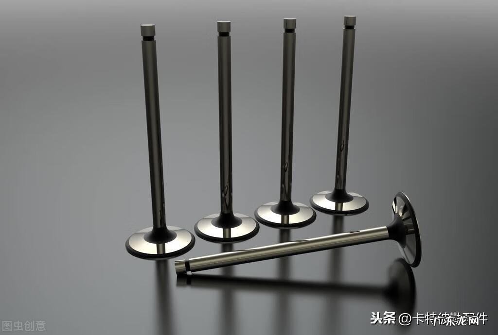 气门挺柱图片 气门挺杆座