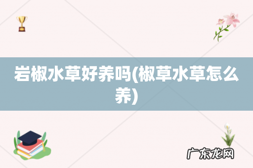 椒草水草怎么养 岩椒水草好养吗