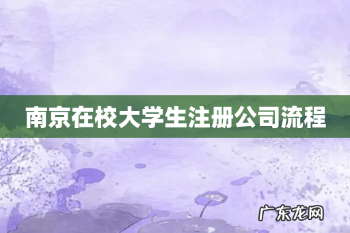 南京在校大学生注册公司流程