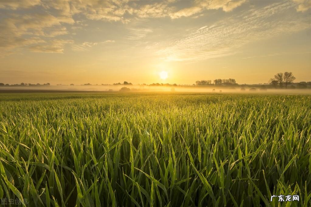 qq飞车紫钻盛典