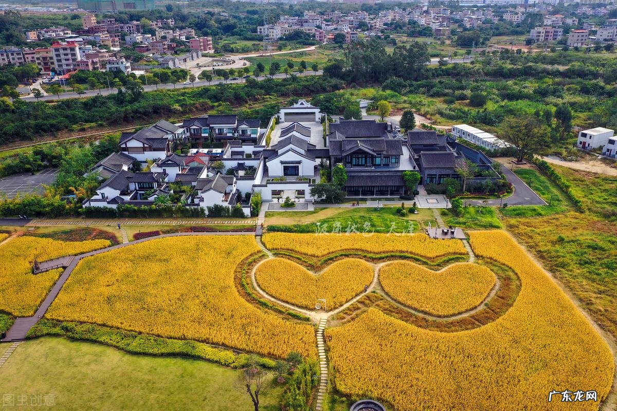 qq飞车紫钻盛典