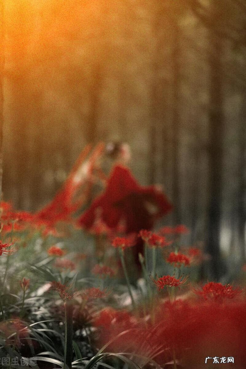 qq飞车紫钻盛典