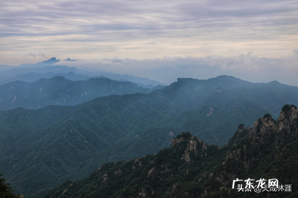 诛仙御剑行小说