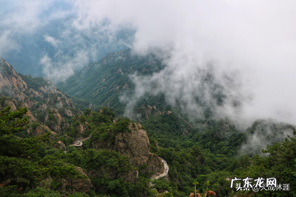 诛仙御剑行小说