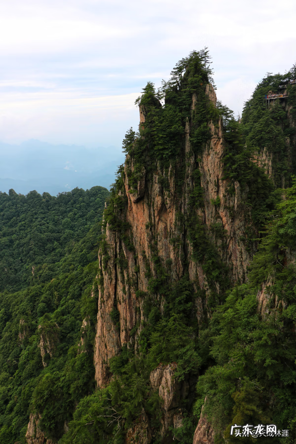 诛仙御剑行小说