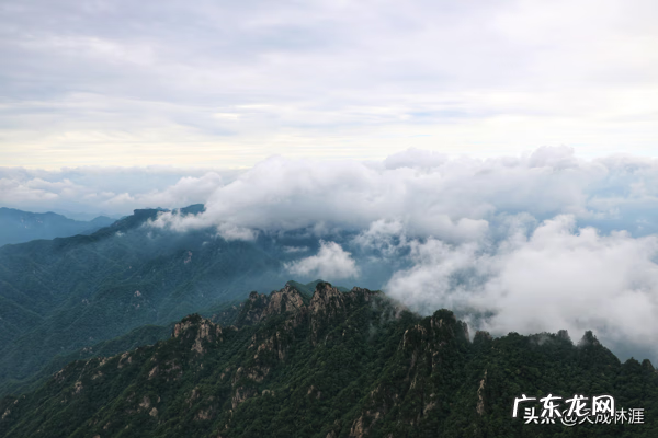 诛仙御剑行小说