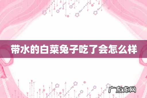 带水的白菜兔子吃了会怎么样