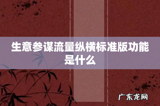 生意参谋流量纵横标准版功能是什么