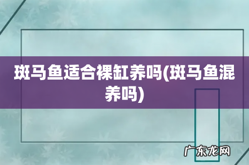 斑马鱼混养吗 斑马鱼适合裸缸养吗